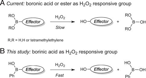 boronic|Boronic Acid